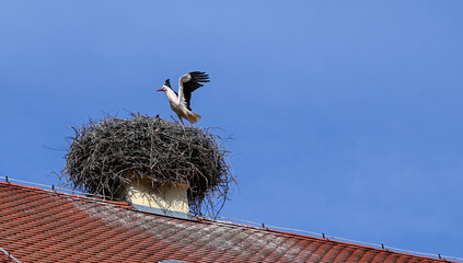 A stork with spread wings in a nest on the roof of a house.