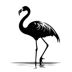 Obraz premium flamingo vector graphic, black and white, animal wildlife