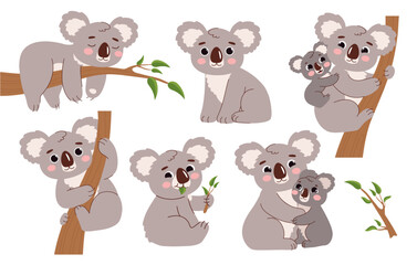 Cute koala on branch set © Aleksey