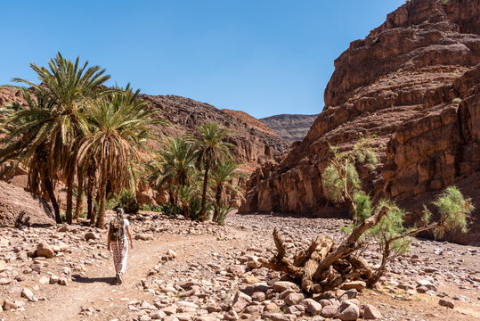 Hiking through the beautiful landscape of the Draa valley near Tizgui village in Morocco