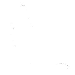 Dog Silhouette isolated graphic, wolf, puppy, breed, black and white