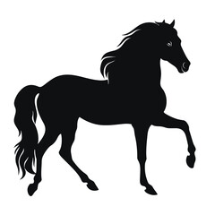 Fototapeta na wymiar Horse silhouette, SVG isolated graphic, horses, beautiful animal