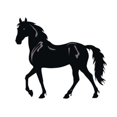 Horse silhouette, SVG isolated graphic, horses, beautiful animal