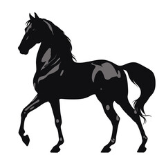 Horse silhouette, SVG isolated graphic, horses, beautiful animal