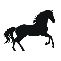 Obraz na płótnie Canvas Horse silhouette, SVG isolated graphic, horses, beautiful animal