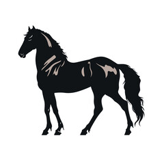 Horse silhouette, SVG isolated graphic, horses, beautiful animal