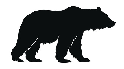 Vector bear silhouette isolated on white background