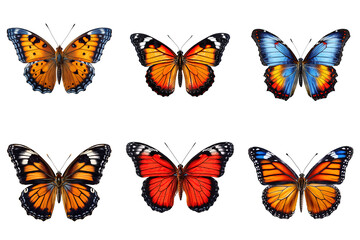 Obraz na płótnie Canvas Collection of multicolored butterflies isolated on transparent background