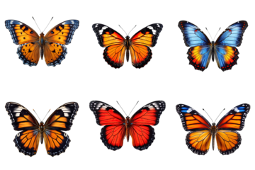 Collection of multicolored butterflies isolated on transparent background