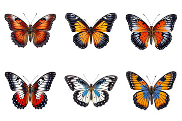 Fototapeta na wymiar Collection of multicolored butterflies isolated on transparent background