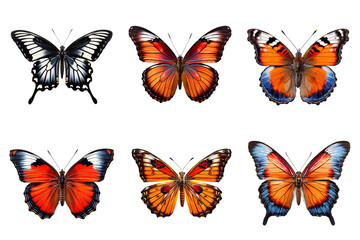 Obraz na płótnie Canvas Collection of multicolored butterflies isolated on transparent background