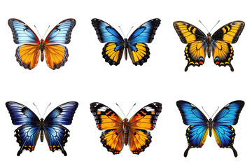 Plakat Collection of multicolored butterflies isolated on transparent background