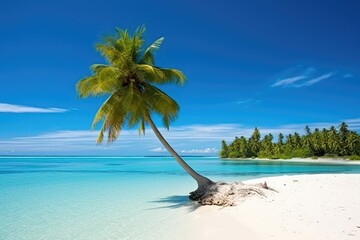 Obraz premium Tropical Landscape Stock Photos And Images Profesional Photography AI Generated
