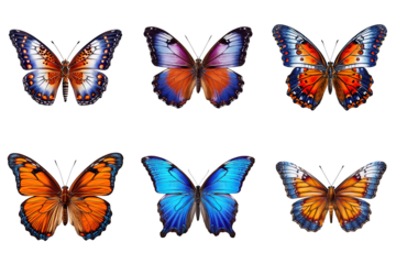 Collection of multicolored butterflies isolated on transparent background
