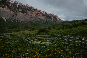 landscape in the mountains
