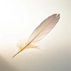 Abwaschbare Fototapete Federn feather