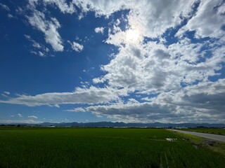 220701田んぼ見崎
田んぼ
雲
空
青空
山形市見崎