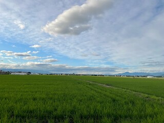 210701田んぼ樋越

山形市樋越
田んぼ
空
雲