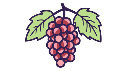 Grapes fruit icon vector illustration on white background