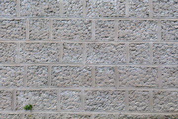 Plaster imitating natural stone. Rough textured wall surface. Background or backdrop. Blank for design