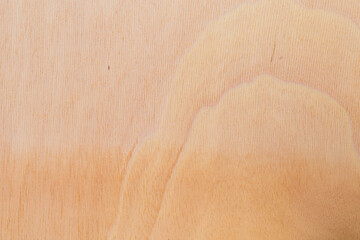 Light rough textured cut surface of an African tree. Wood background or blank for design