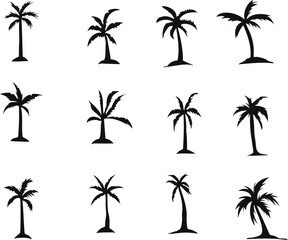 set of palm trees. palm tree icon