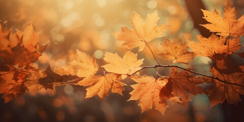 web banner design for autumn season and end year activity with red and yellow maple leaves with soft focus light and bokeh background - obrazy, fototapety, plakaty