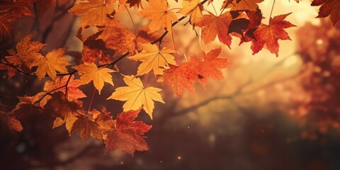 Fototapeta na wymiar web banner design for autumn season and end year activity with red and yellow maple leaves with soft focus light and bokeh background