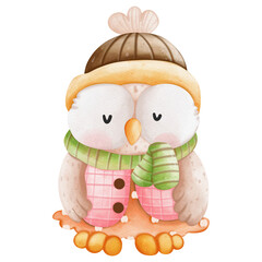 Watercolor Cute Christmas Owl, Autumn or Fall Animal, Watercolor illustration
