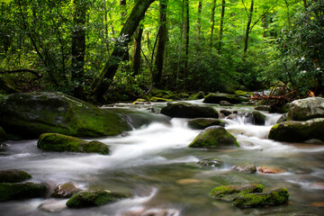 Fototapeta na wymiar Beautiful Waterfalls in the Great Smoky Mountains
