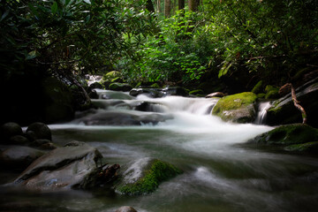 Beautiful Waterfalls in the Great Smoky Mountains