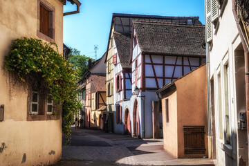 Alsatian half timbered houses in colmar