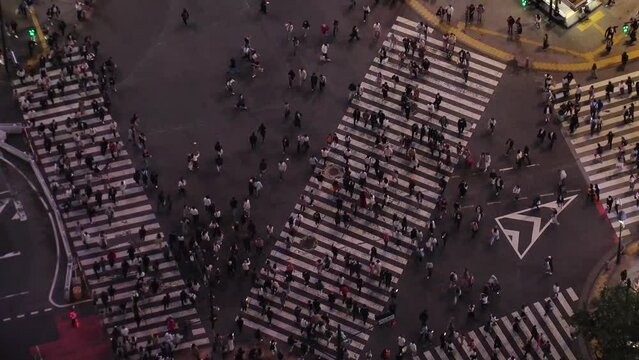 SHIBUYA, TOKYO, JAPAN - MAY 2023 : Aerial time lapse view of Shibuya crossing at night. Crowd of people walking at the crossing in busy rush hour. Japanese people and urban city life concept 4K video.