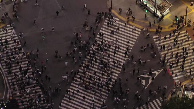 SHIBUYA, TOKYO, JAPAN - MAY 2023 : Aerial time lapse view of Shibuya crossing at night. Crowd of people walking at the crossing in busy rush hour. Japanese people and urban city life concept 4K video.