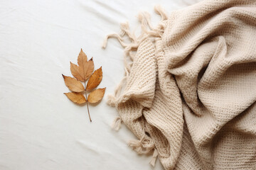 beige knit sweater dry leaves on a white background