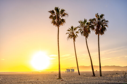 Venice Beach in Los Angeles just before sunset