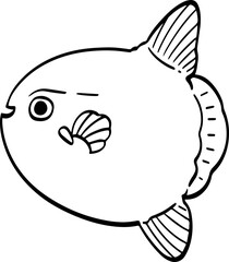 hand drawn Mola mola fish illustration.