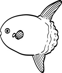 hand drawn Mola mola fish illustration.