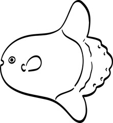 hand drawn Mola mola fish illustration.