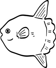 hand drawn Mola mola fish illustration.