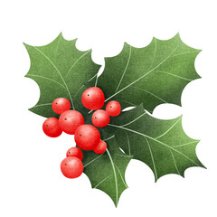 Cute Christmas holly leaf and berry.