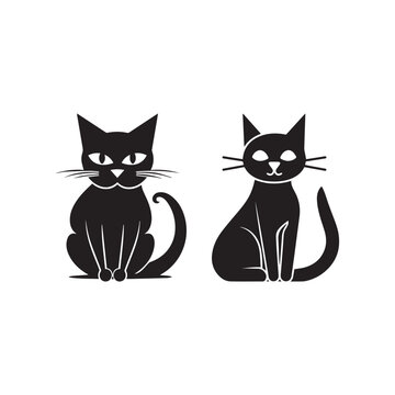 black and white cats