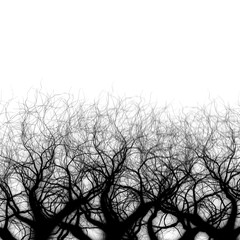 Dry tree silhouette