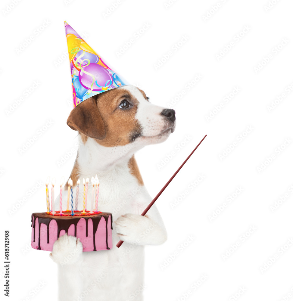 Poster jack russell terrier puppy wearing a party cap holds birthday cake with birning candles and points a