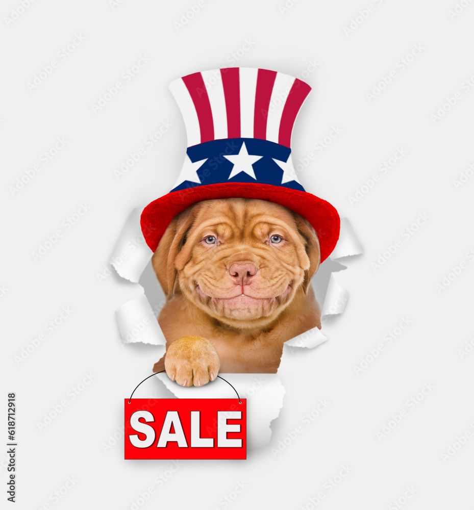 Poster happy mastiff puppy wearing like uncle sam looking through a hole in paper and shows signboard with 