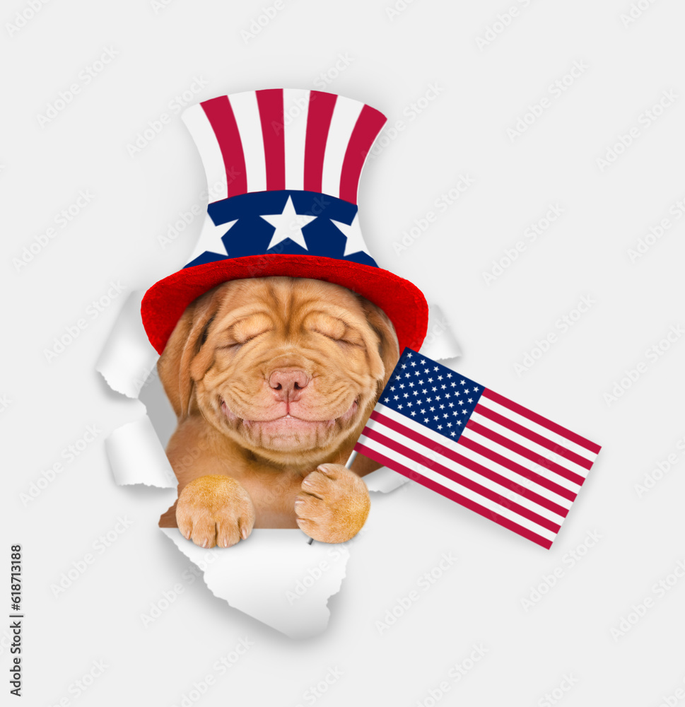 Poster happy mastiff puppy wearing like uncle sam looking through a hole in paper and showing flag usa. iso