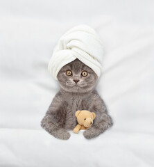 Cute kitten with towel on his head relaxing on the bed at home with toy bear. Top down view