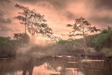 Obraz na płótnie Canvas The beauty of the Cypress trees in the wetlands of the Caddo Lake