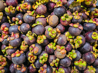 Pile of Mangosteens in a supermarket local market in Thailand, Bunch of organic mangosteen ready to eat. Fresh mangosteen background