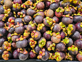 Top view Pile of Mangosteens in a supermarket local market in Thailand, Bunch of organic mangosteen ready to eat. Fresh mangosteen background
